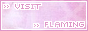 Flaming-Passion