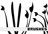 Photoshop Brushes 87 - 