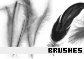 Photoshop Brushes 17 - 