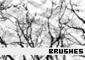 Photoshop Brushes 28 - 