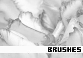 Photoshop Brushes 165 - 