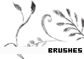 Photoshop Brushes 154 - 