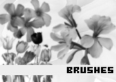 Photoshop Brushes 35 - 