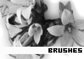 Photoshop Brushes 139 - 