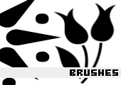 Photoshop Brushes 98 - 