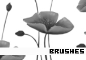 Photoshop Brushes 166 - 