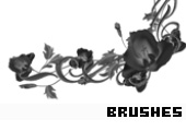 Photoshop Brushes 163 - 