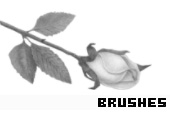 Photoshop Brushes 149 - 