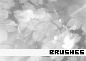 Photoshop Brushes 104 - 