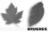 Photoshop Brushes 124 - 
