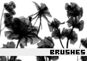 Photoshop Brushes 32 - 